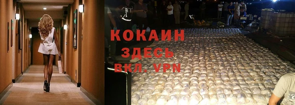 бошки Богданович