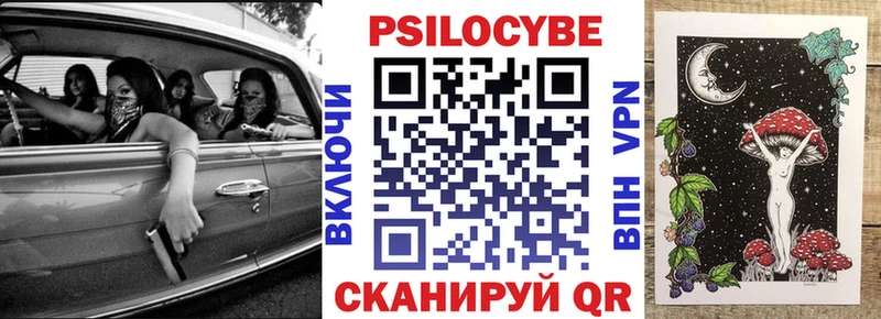 дарнет шоп  Волчанск  Псилоцибиновые грибы Magic Shrooms 