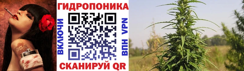 Каннабис план  Волчанск 